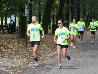 Lions Running