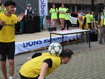 Lions Running